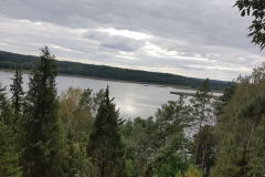 kadagiu_slenis_4